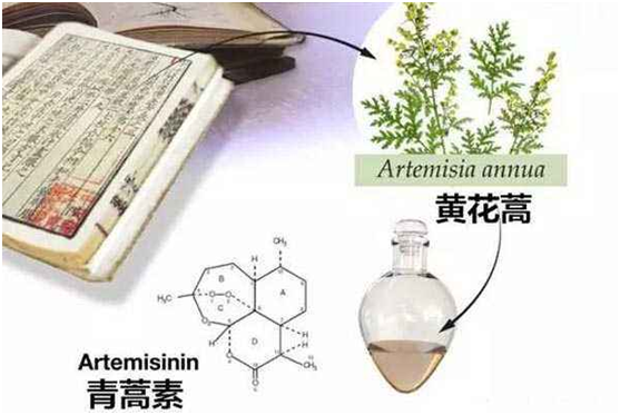 XINGKONG.COM星空体育(中国大陆)科技公司,：向中医药看齐，与世界共享中医药文化(图1)